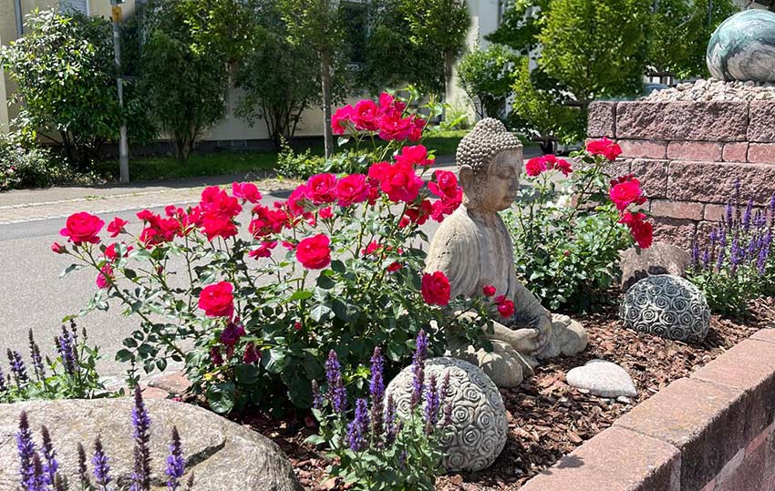 Praxis-für-Psyche-und-Seele-Rosenhaus-Zentrum-für-Meditation-und-BewusstSein
